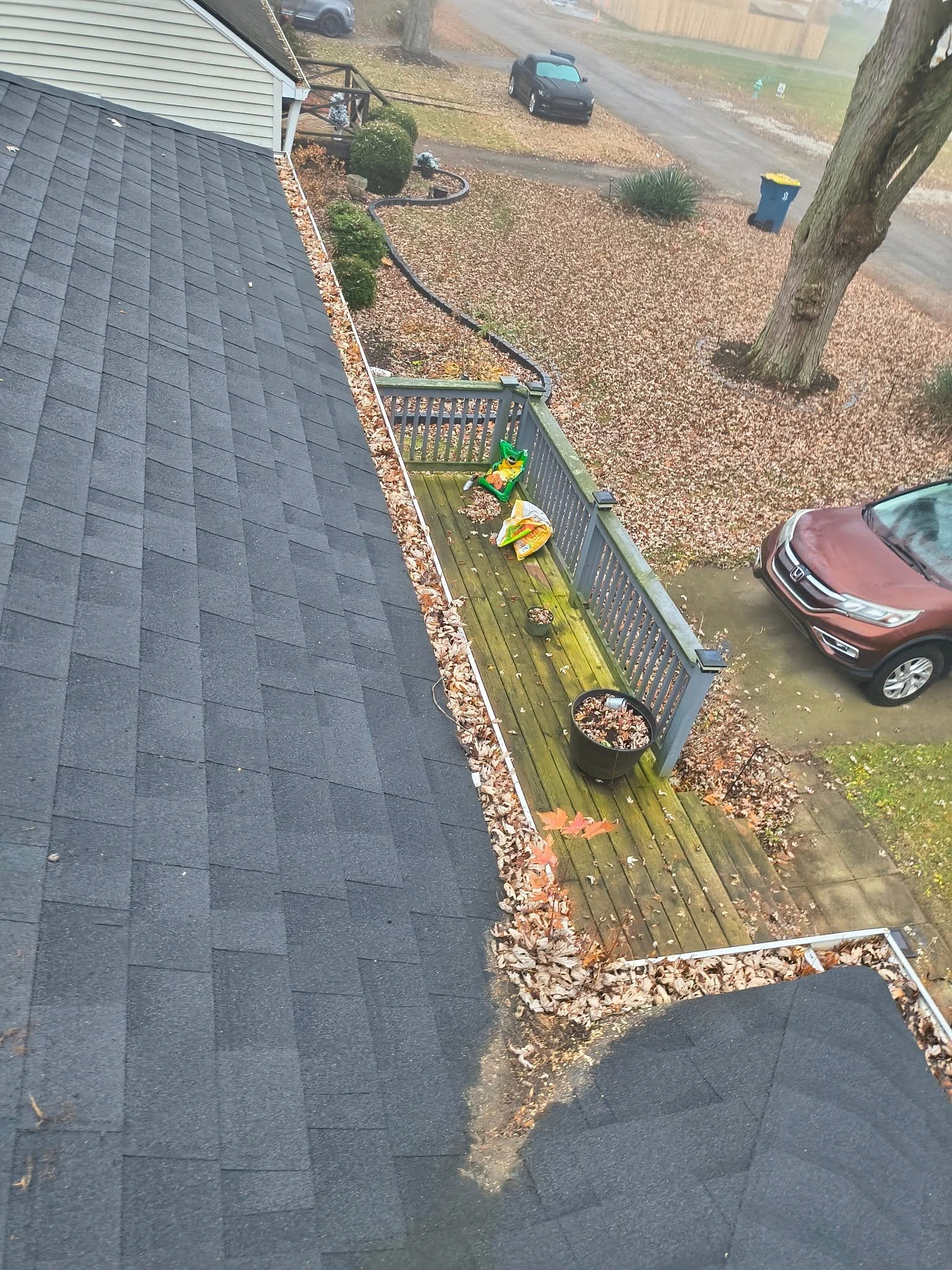 Gutter cleaning service